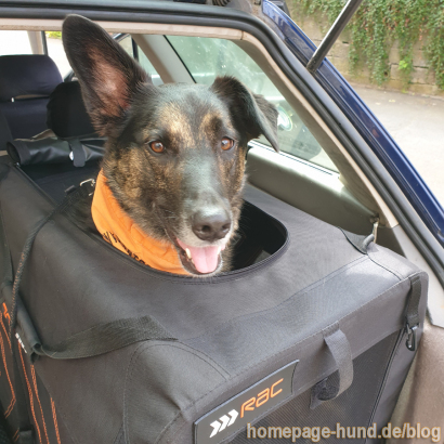 Hundebox
