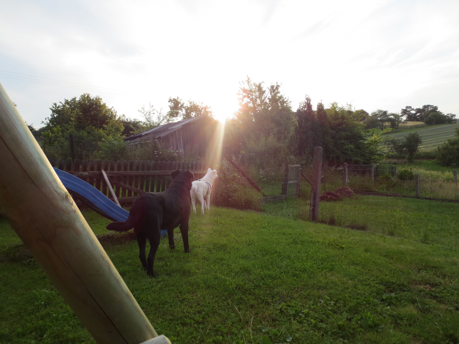 Kalli genießt die schöne Aussicht