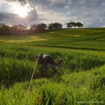 Wandern_Wohratal_Wohra