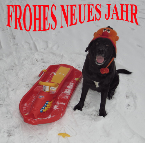 Frohes Neues