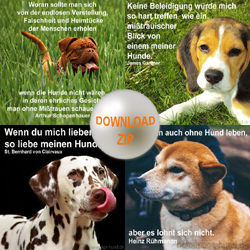 Download Hundesprüche mit Bild kostenlos